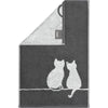6 x Gastendoeken Cute Cats Basalt-Platin 30x50 cm